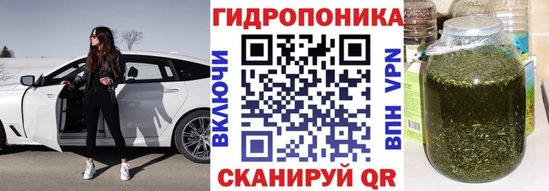 Бошки Шишки марихуана  Венёв 